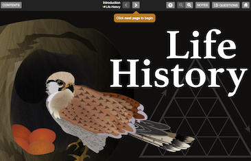 Life_historyThumbnail.png